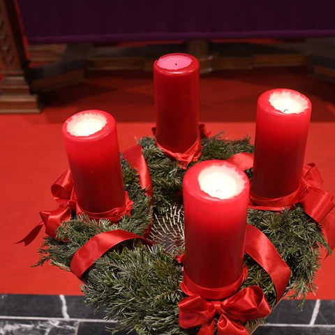 k-DSC_7065.JPG. Vergrösserte Ansicht