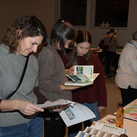 k-DSC_2207.JPG. Vergrösserte Ansicht