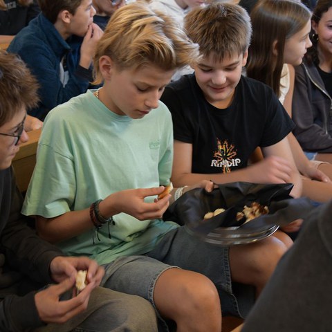 k-DSC_0887.JPG. Vergrösserte Ansicht