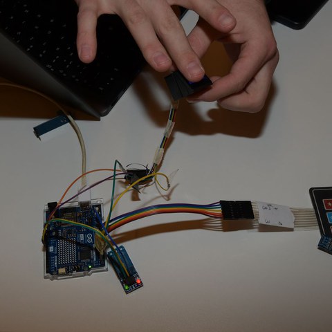 k-DSC_2131.JPG. Vergrösserte Ansicht