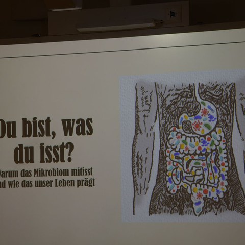 k-DSC_2136.JPG. Vergrösserte Ansicht