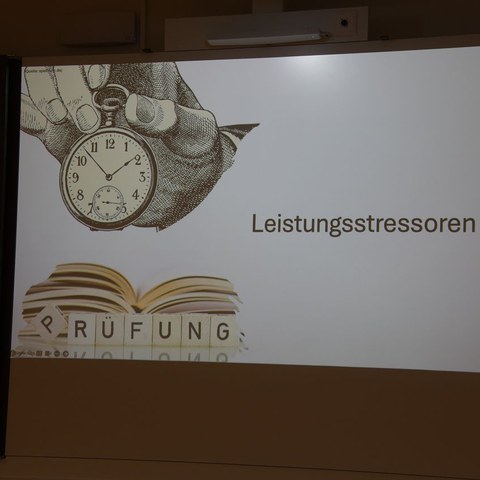 k-DSC_2163.JPG. Vergrösserte Ansicht