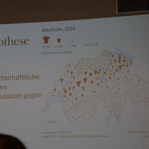 k-DSC_2174.JPG. Vergrösserte Ansicht