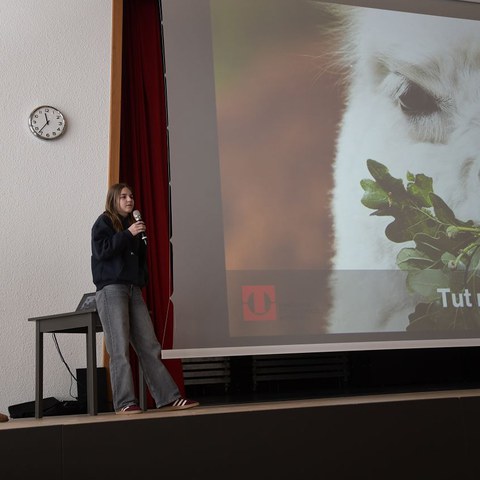 k-DSC_1789.JPG. Vergrösserte Ansicht