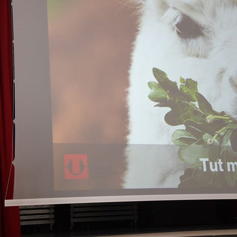 k-DSC_1791.JPG. Vergrösserte Ansicht