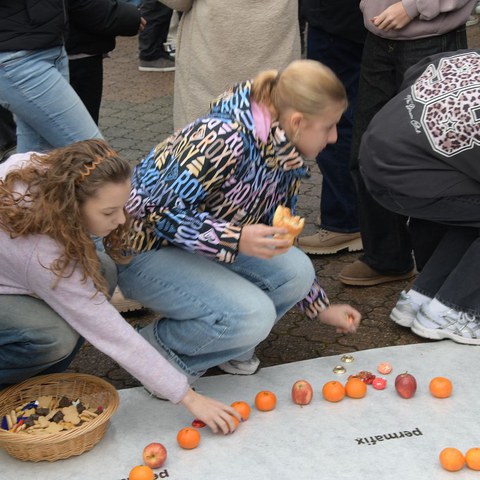 k-DSC_2054.JPG. Vergrösserte Ansicht