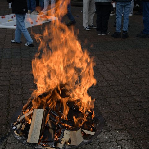 k-DSC_2064.JPG. Vergrösserte Ansicht