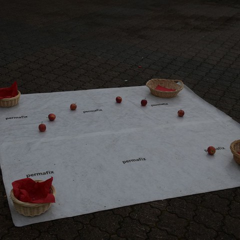 k-DSC_2068.JPG. Vergrösserte Ansicht