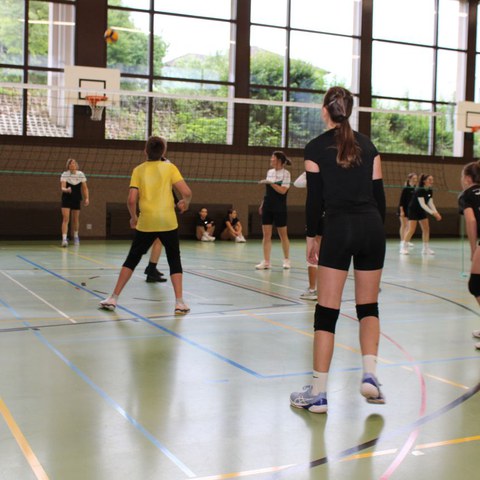 k-IMG_3352.JPG. Vergrösserte Ansicht