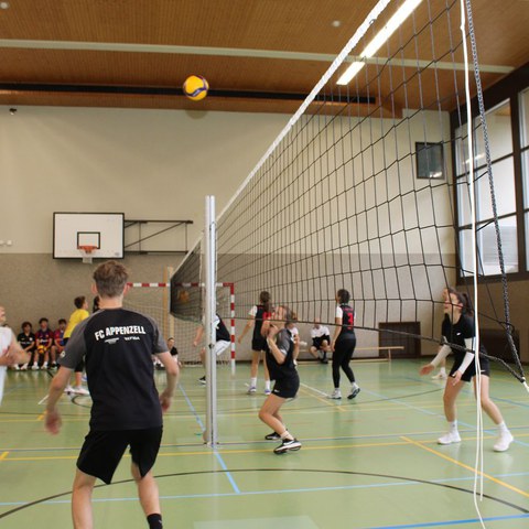 k-IMG_3372.JPG. Vergrösserte Ansicht