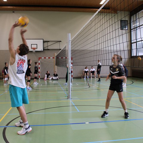 k-IMG_3375.JPG. Vergrösserte Ansicht