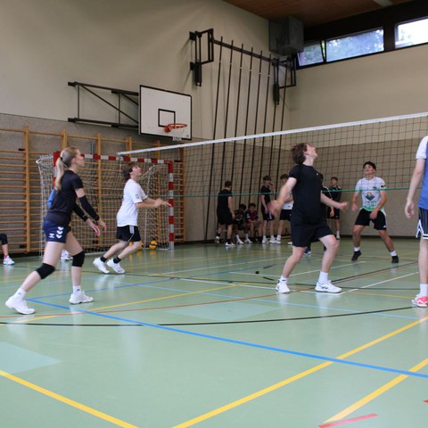 k-IMG_3377.JPG. Vergrösserte Ansicht