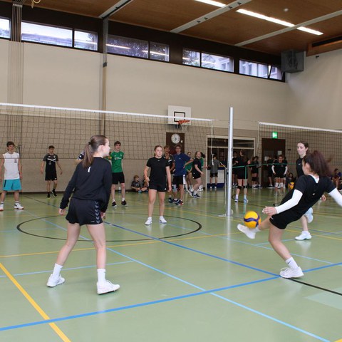 k-IMG_3382.JPG. Vergrösserte Ansicht